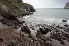 aIMG_0286