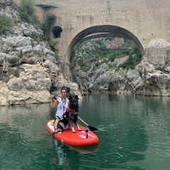 aIMG_4979