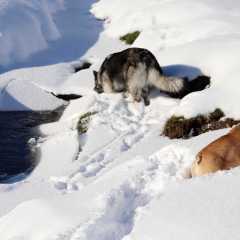 aIMG_4736