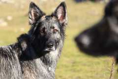 aIMG_5194