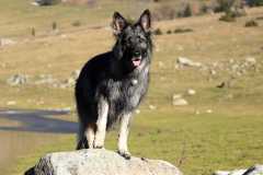aIMG_5282