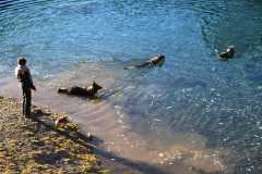 aIMG_5383