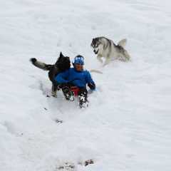 aIMG_3767