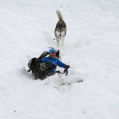 aIMG_3772