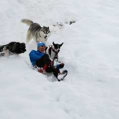 aIMG_3778