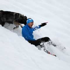 aIMG_3796