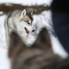 aIMG_3844