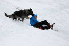 aIMG_3677