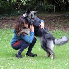 14.05.2024 - 3ans