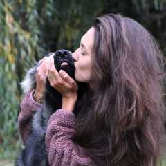 14.11.2022 - 18mois