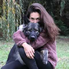14.11.2022 - 18mois