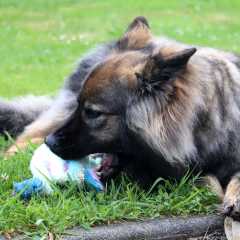 15.05.2025 - 4ans Mila