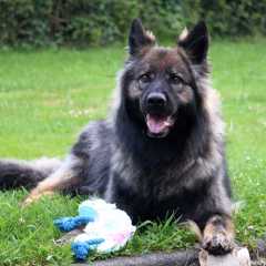 15.05.2025 - 4ans Mila