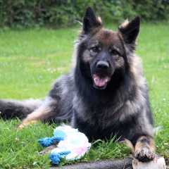 15.05.2025 - 4ans Mila