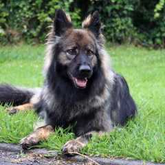 15.05.2025 - 4ans Mila