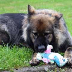 15.05.2025 - 4ans Mila