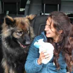 15.05.2025 - 4ans Mila