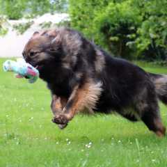 15.05.2025 - 4ans Mila