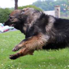 15.05.2025 - 4ans Mila