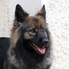 15.05.2025 - 4ans Mila