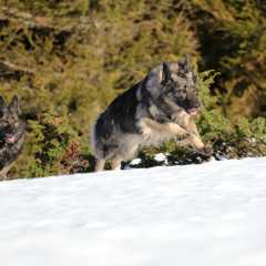 aIMG_4273