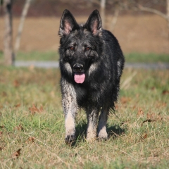 aIMG_0203