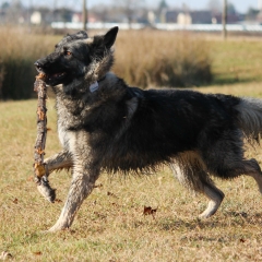 aIMG_0244