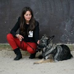 a_DSC0903