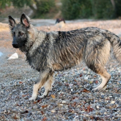 aIMG_0466
