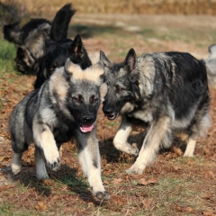 aIMG_0671