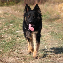 aIMG_0678
