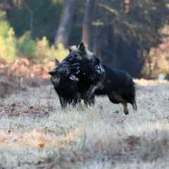 19.12.2021