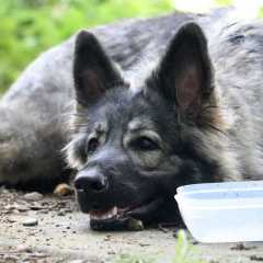 aIMG_0420