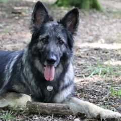 aIMG_0441