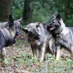 aIMG_0473
