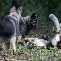 aIMG_0480