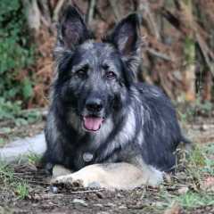 aIMG_0499