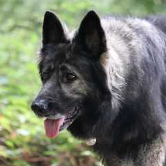 aIMG_0536