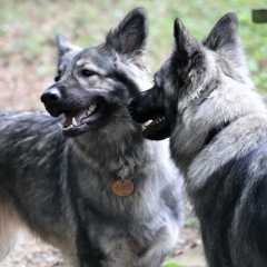 aIMG_0552