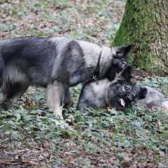 aIMG_0557