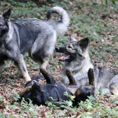 aIMG_0559