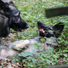 aIMG_0572