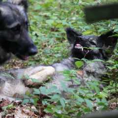 aIMG_0573