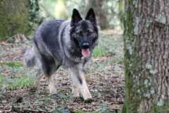 aIMG_0427