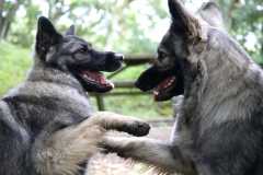 aIMG_0449