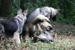 aIMG_0478
