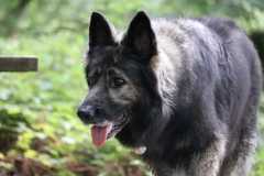aIMG_0536