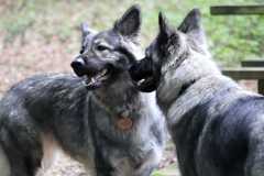 aIMG_0552