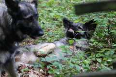 aIMG_0573