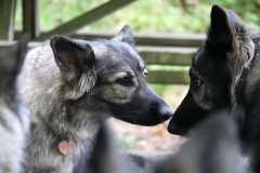 aIMG_0585